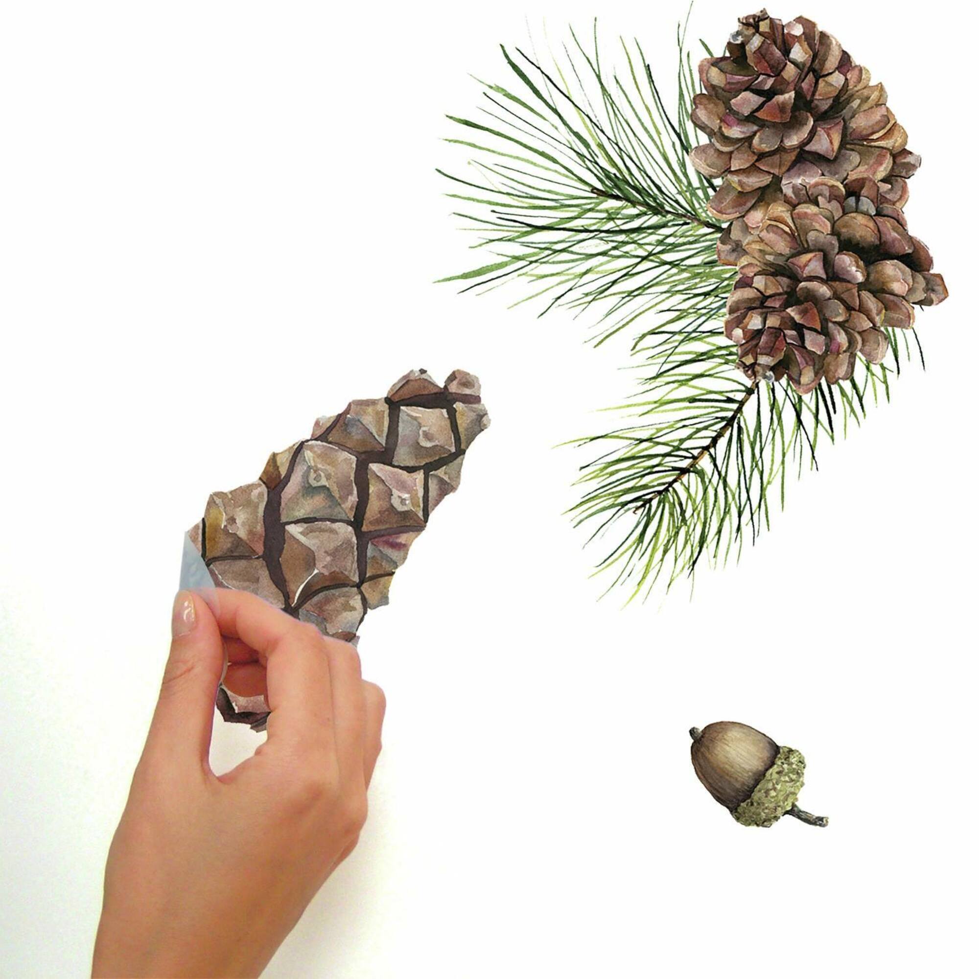 RoomMates Acorn & Pinecone Peel & Stick Wall Decals